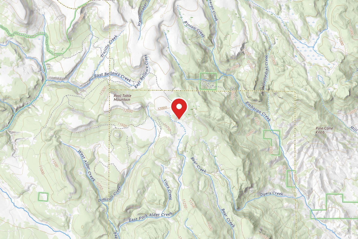Dispersed Site near 37.8218, -106.6539