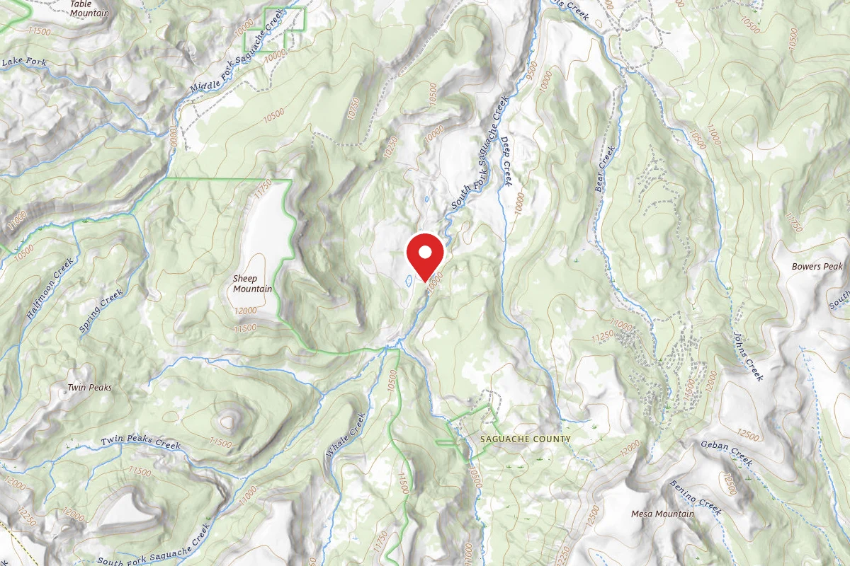 Dispersed Site near 37.9488, -106.6846