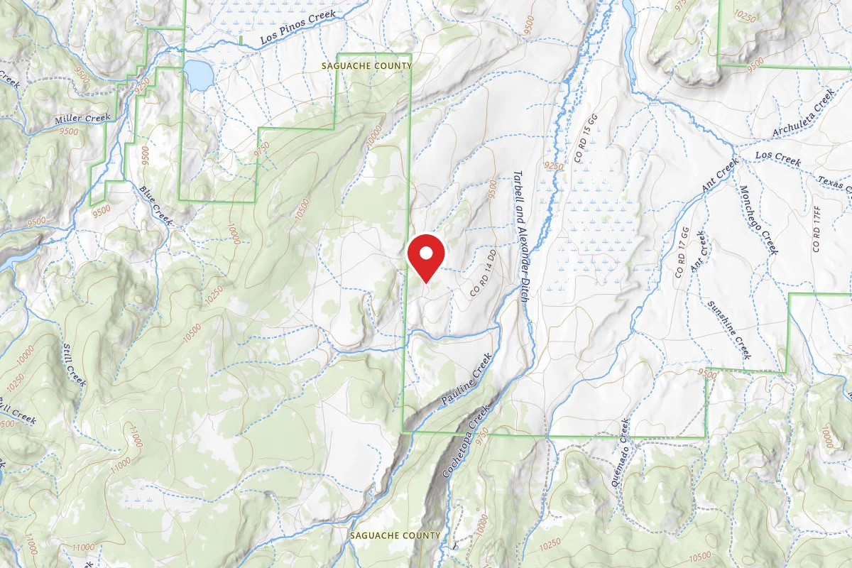 Dispersed Site near 38.1532, -106.7835