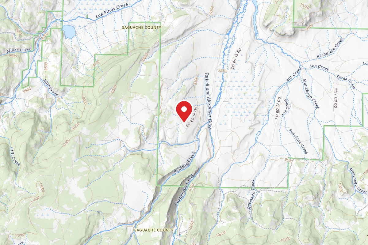 Dispersed Site near 38.1528, -106.7740