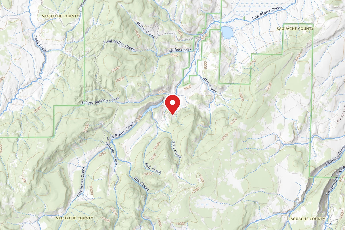 Dispersed Site near 38.1542, -106.8710