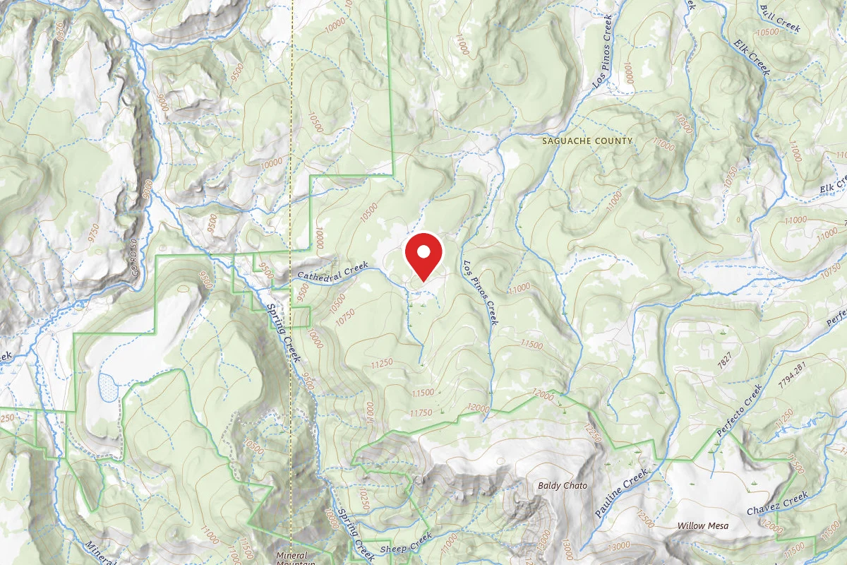 Dispersed Site near 38.0786, -106.9694