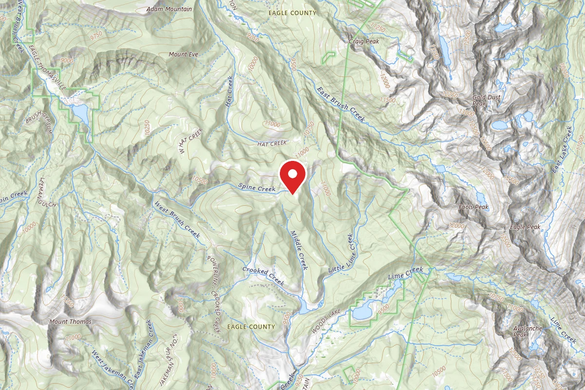 Dispersed Site near 39.4550, -106.6575