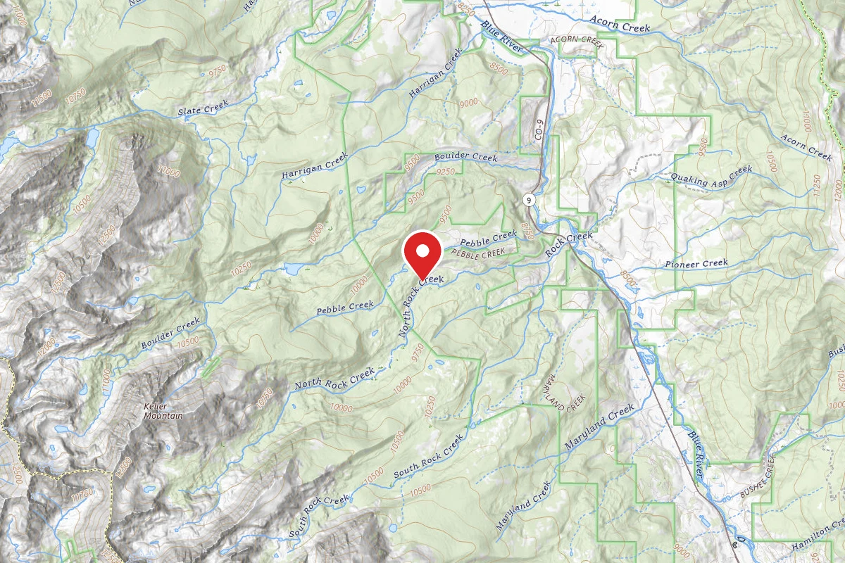Dispersed Site near 39.7161, -106.1631