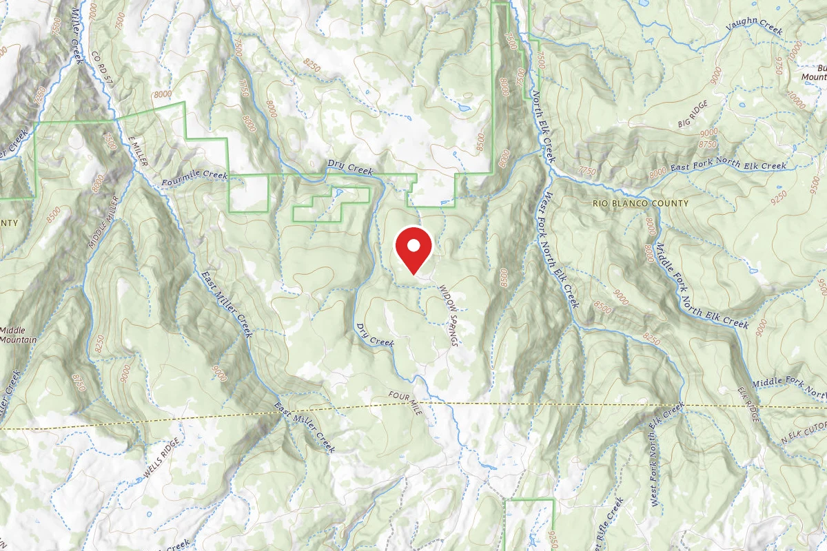 Dispersed Site near 39.8544, -107.6953