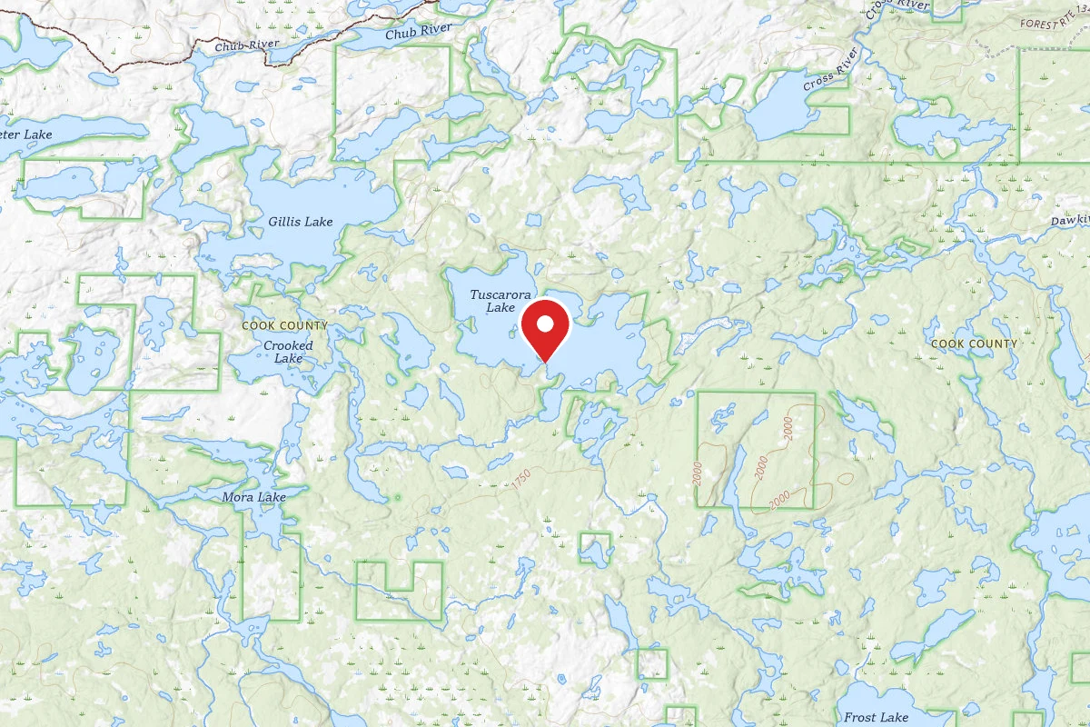 Dispersed Site near 48.0376, -90.8831