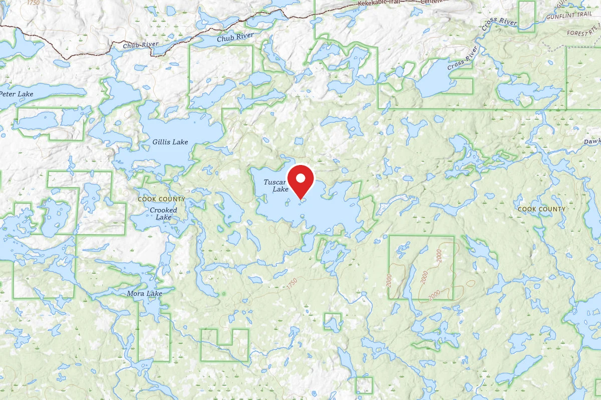 Dispersed Site near 48.0422, -90.8845