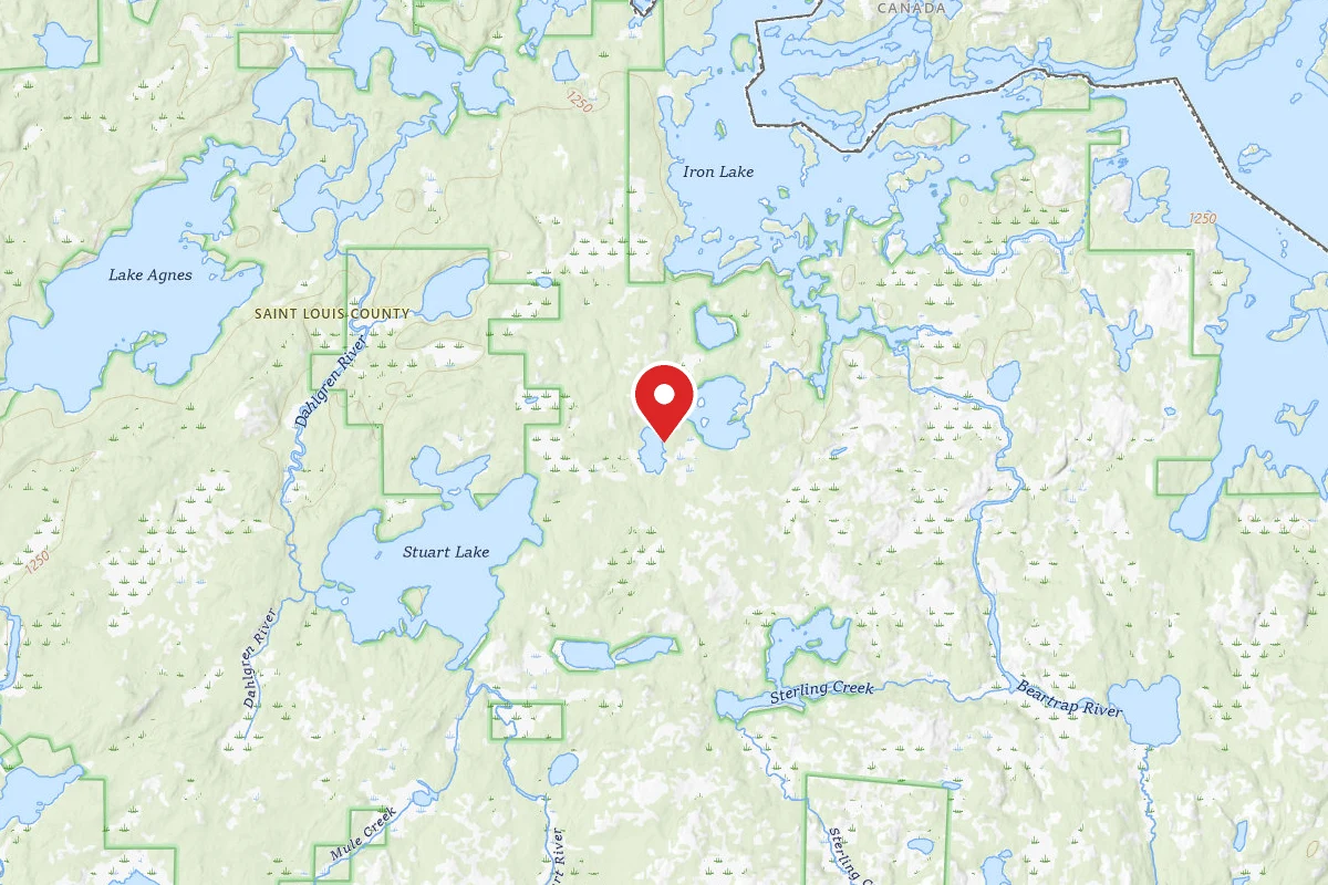Dispersed Site near 48.2004, -91.9726