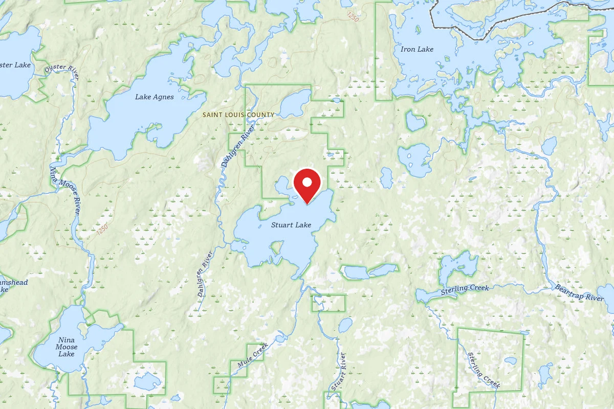 Dispersed Site near 48.1936, -92.0010
