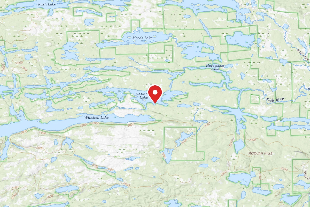 Dispersed Site near 48.0008, -90.5393