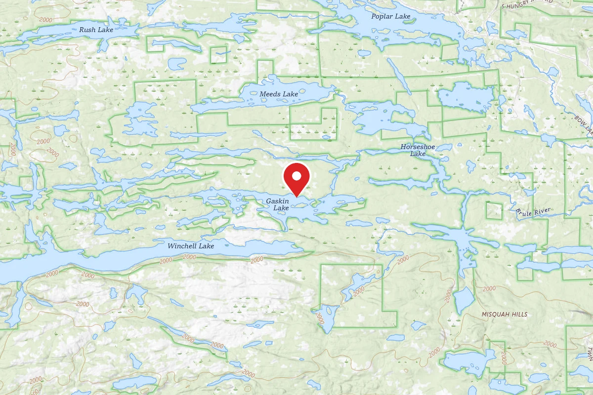 Dispersed Site near 48.0058, -90.5414