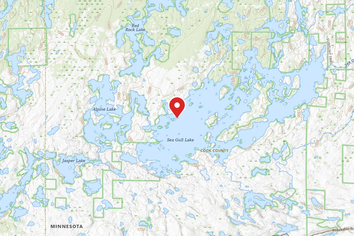 Dispersed Site near 48.1309, -90.9553