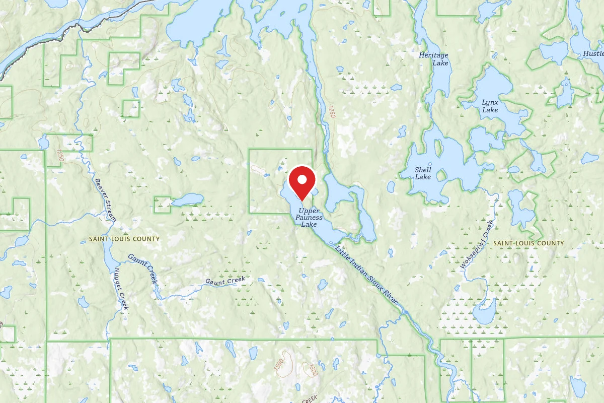 Dispersed Site near 48.1953, -92.2595