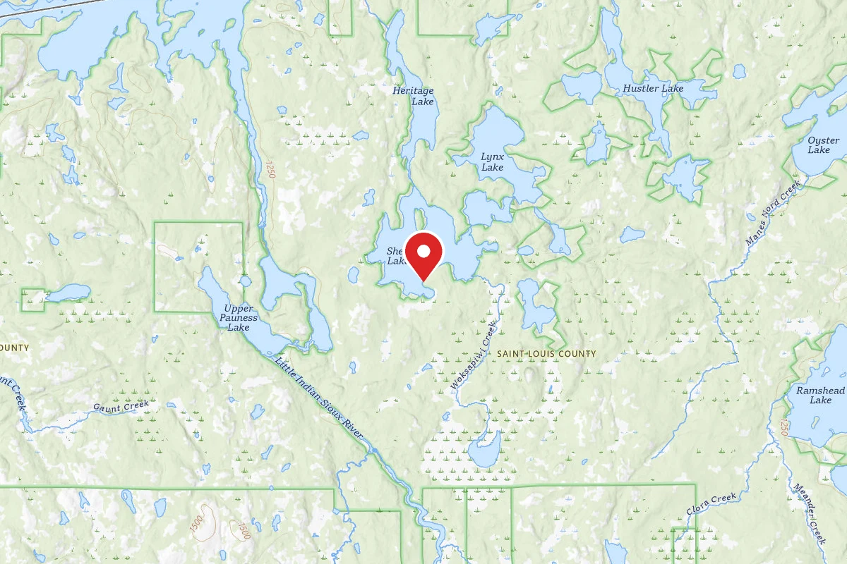 Dispersed Site near 48.1974, -92.2123