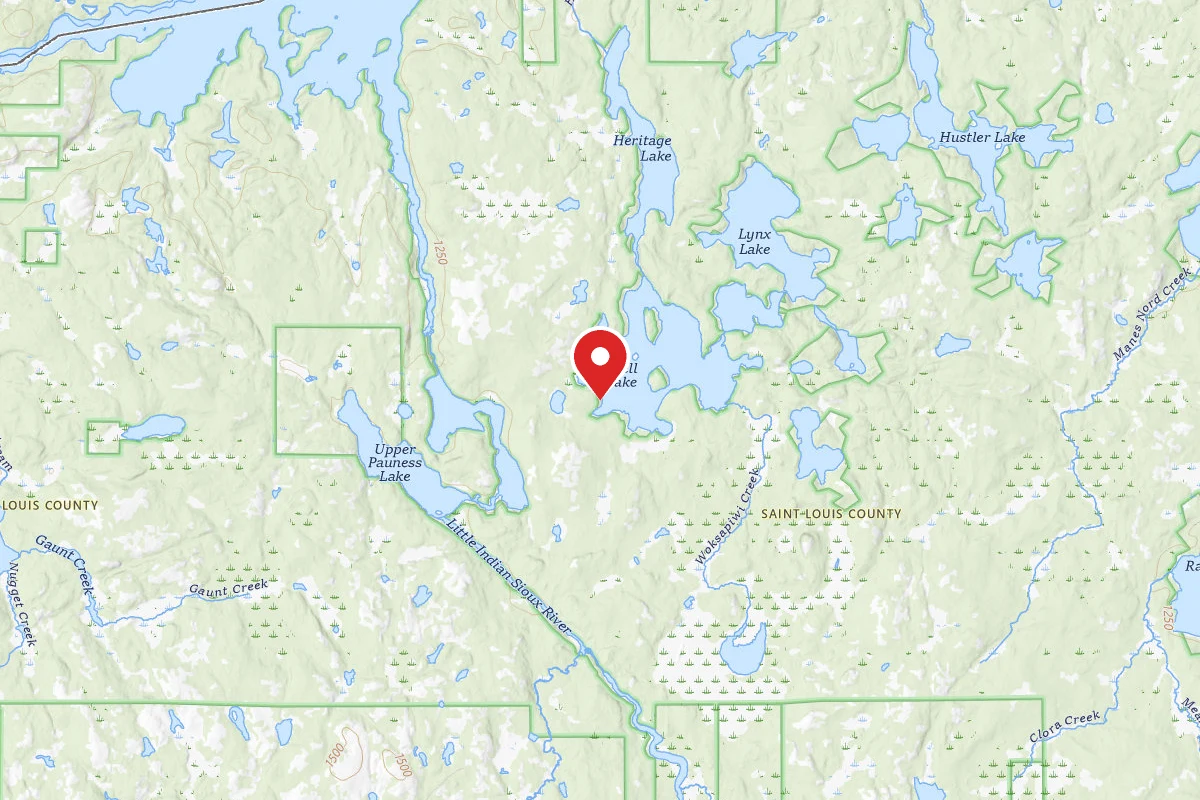 Dispersed Site near 48.1988, -92.2219