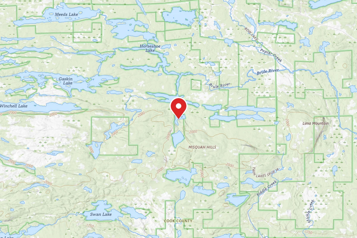Dispersed Site near 47.9895, -90.4828