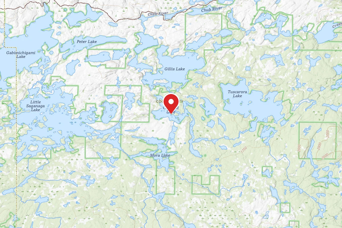 Dispersed Site near 48.0374, -90.9315