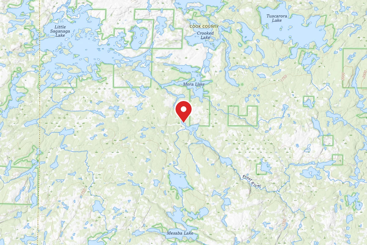 Dispersed Site near 48.0063, -90.9438