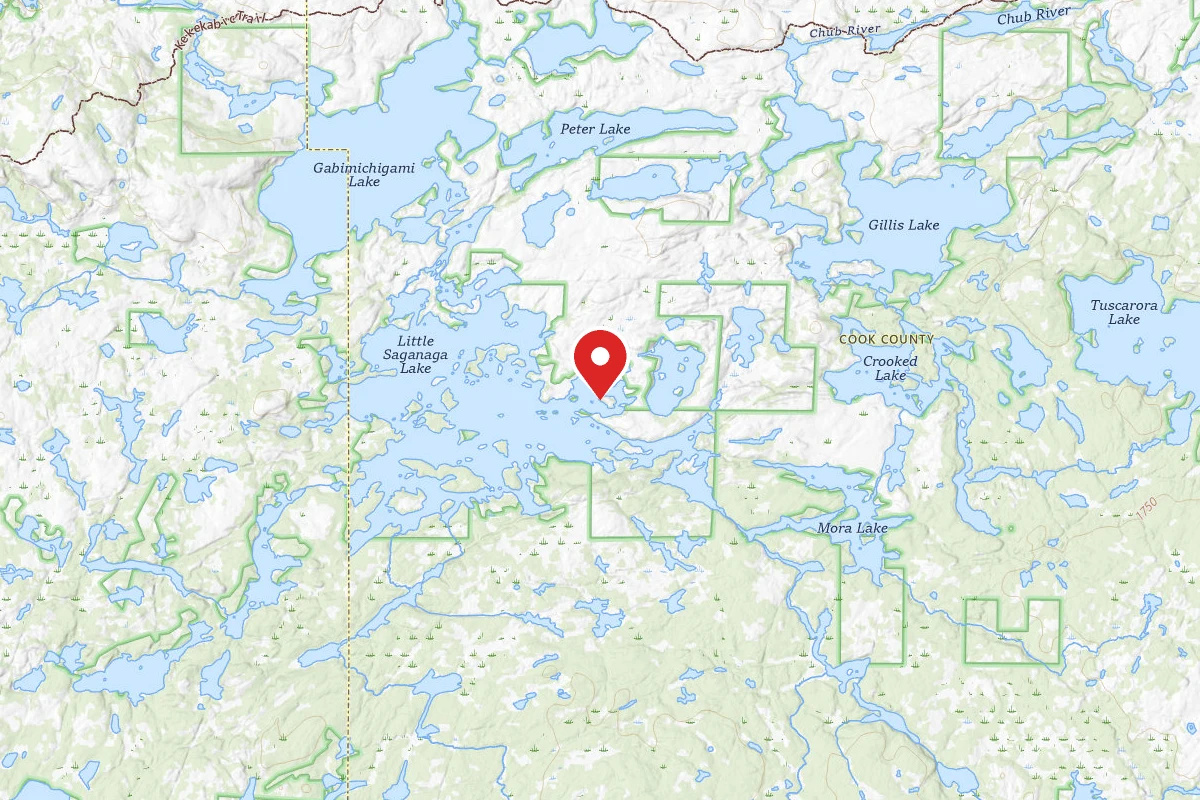 Dispersed Site near 48.0354, -90.9814