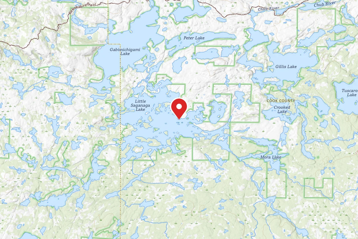 Dispersed Site near 48.0352, -90.9908