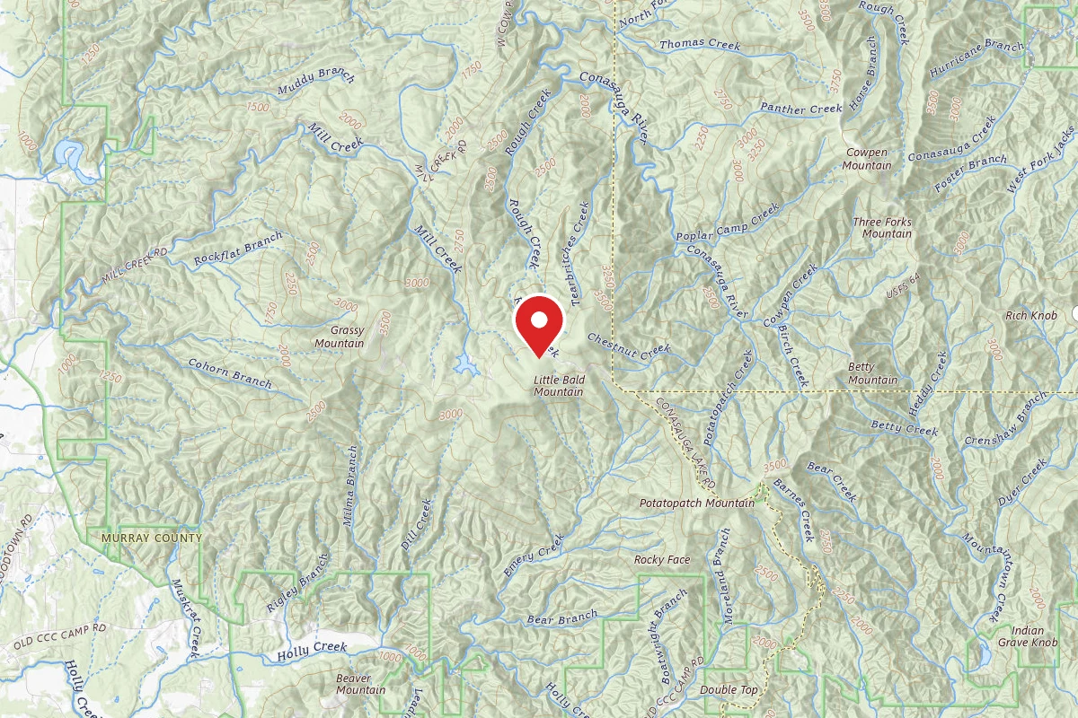 Chattahoochee NF Dispersed - Ball Field