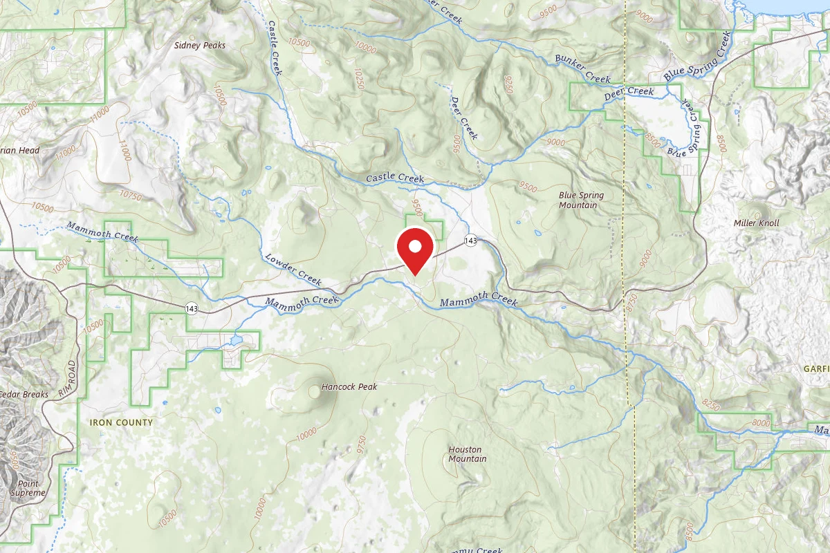 Dispersed Site near 37.6575, -112.7382