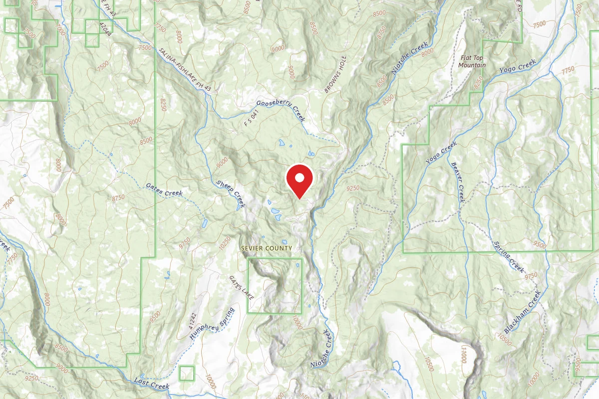 Lower Farnsworth CUA Dispersed
