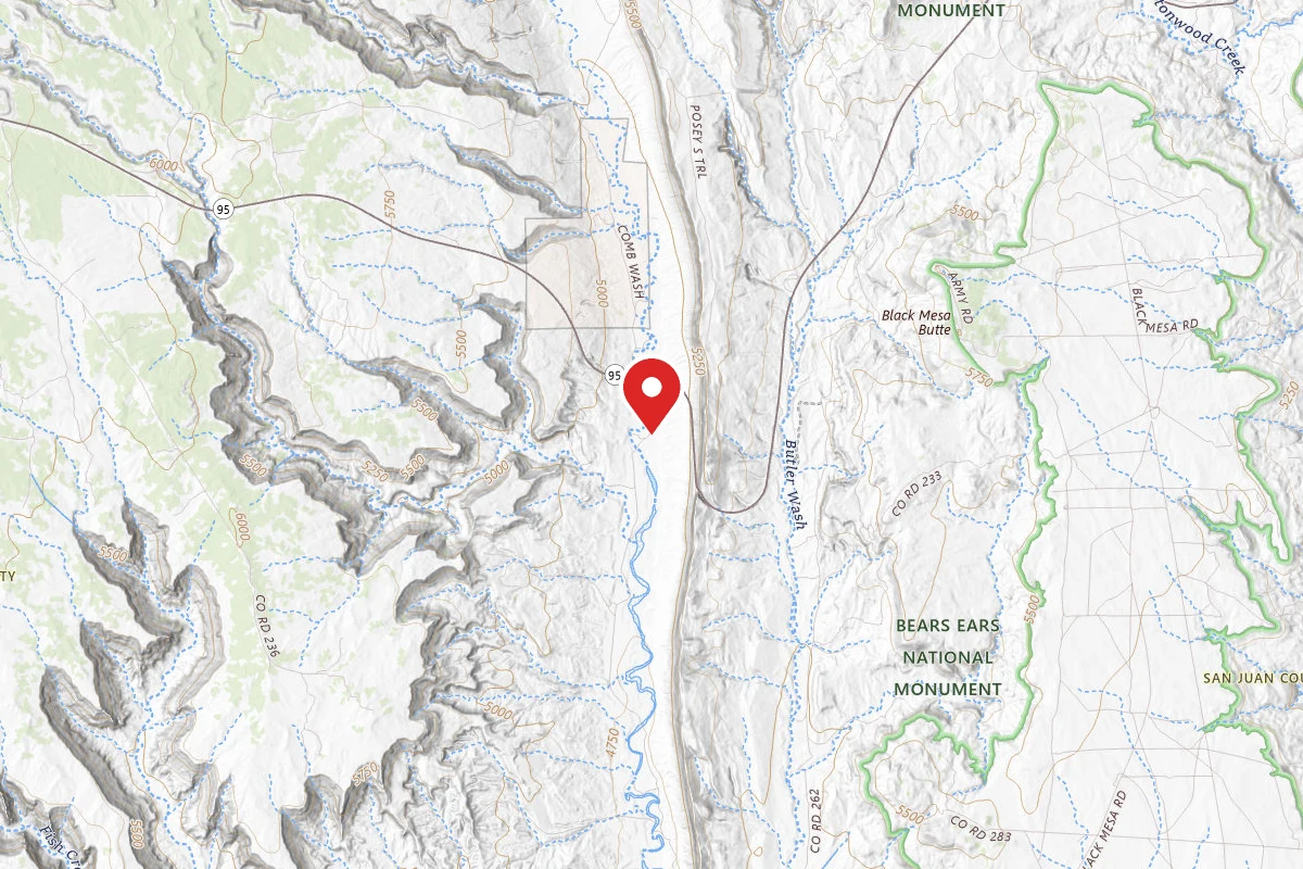 Dispersed Site near 37.5042, -109.6549