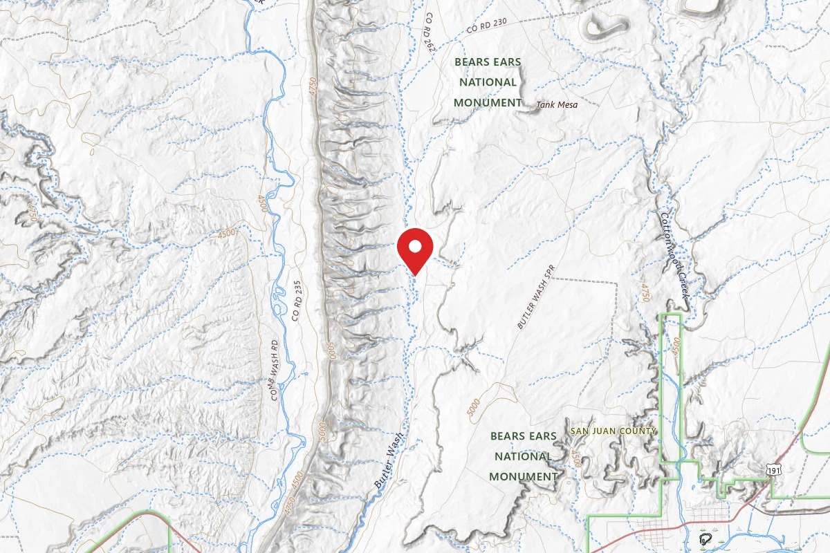 Dispersed Site near 37.3315, -109.6281