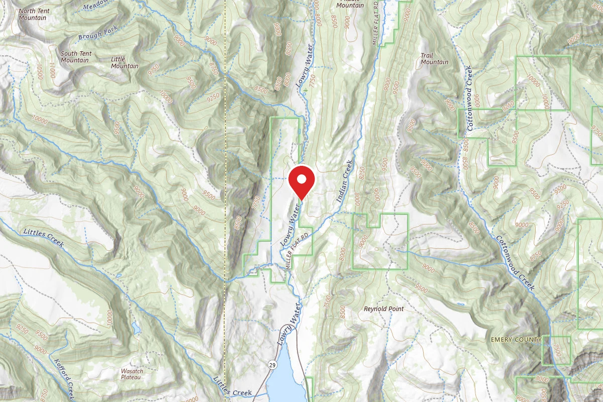 Dispersed Site near 39.3558, -111.2748