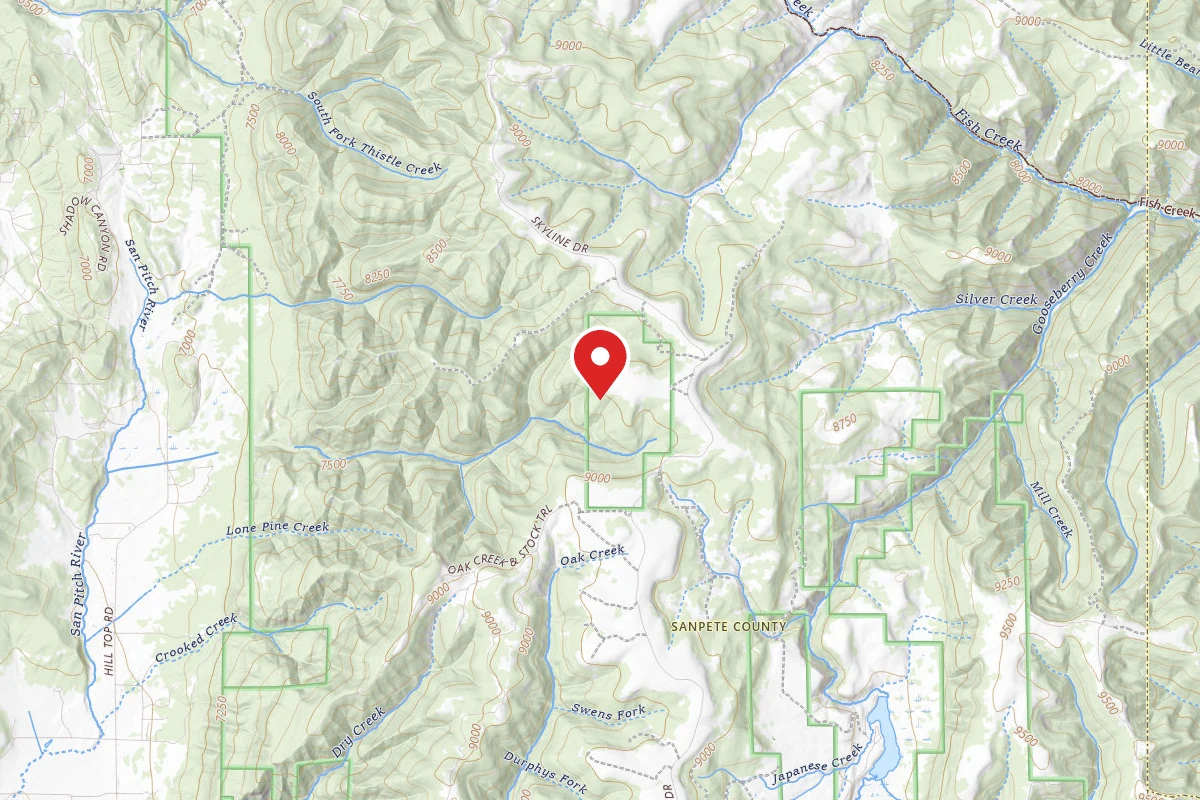 Dispersed Site near 39.7559, -111.3415