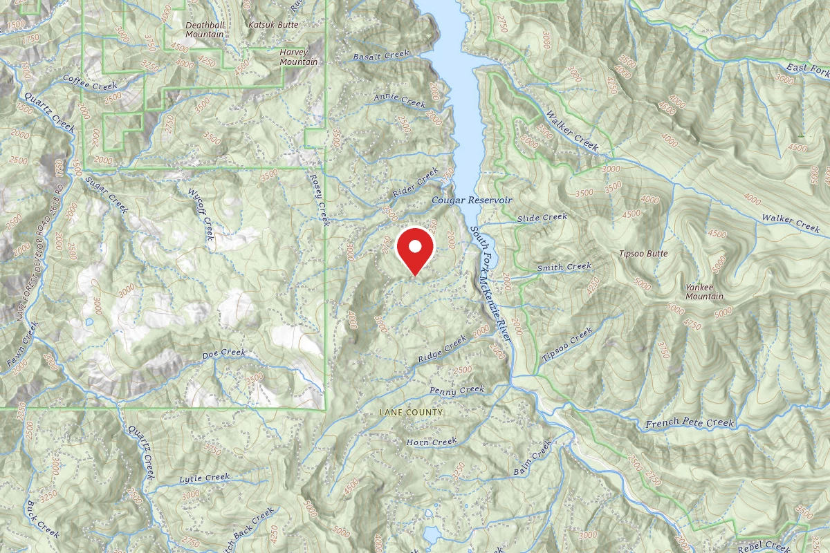 Cougar dispersed camping