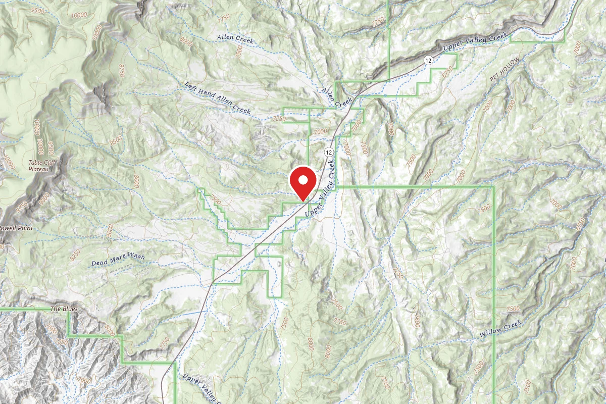 Dispersed Site near 37.6951, -111.7971