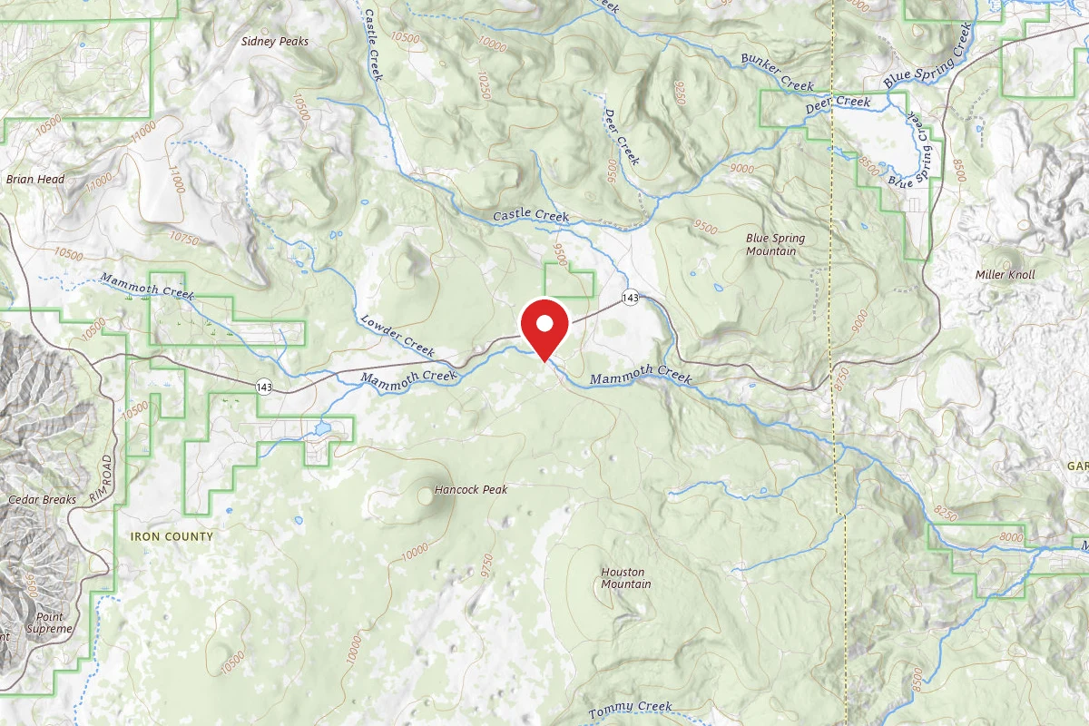 Dispersed Site near 37.6548, -112.7404