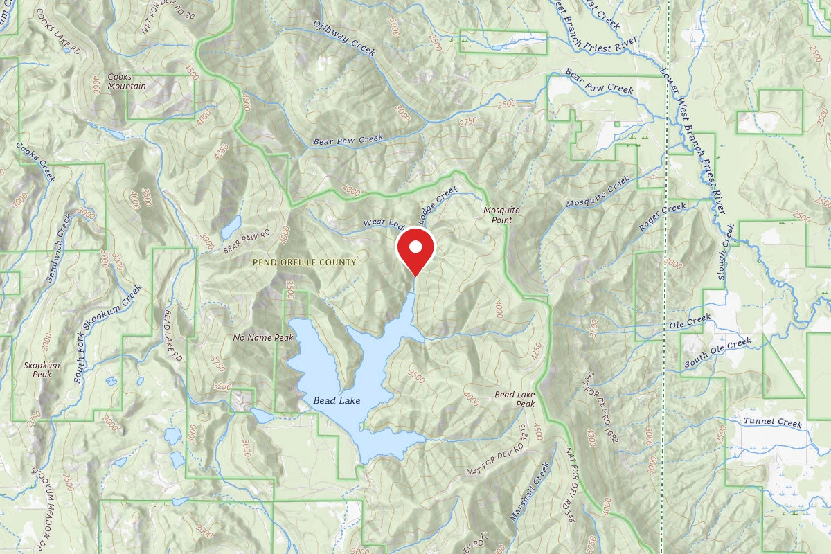 Lodge Creek Camp