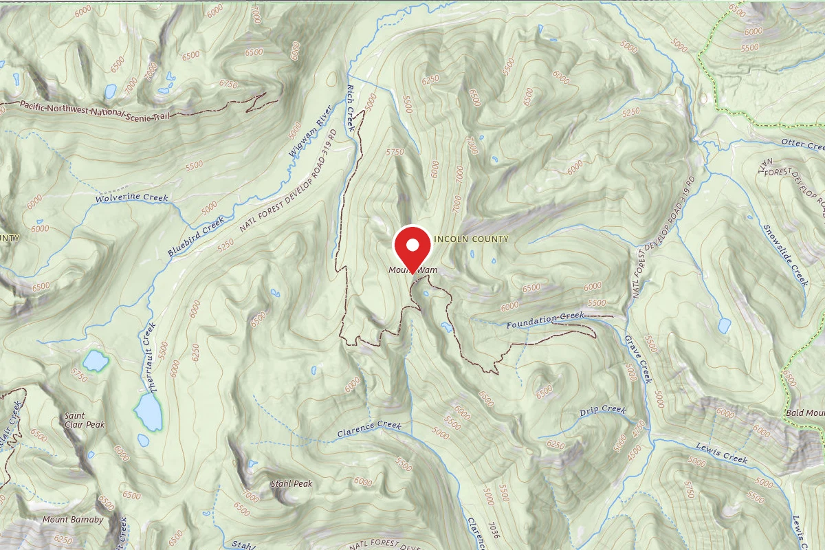Mt. Wam Lookout Cabin Rental