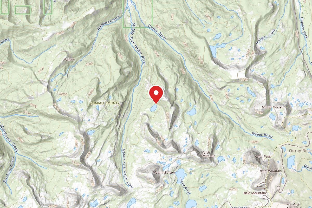 Dispersed Site near 40.7336, -110.9773