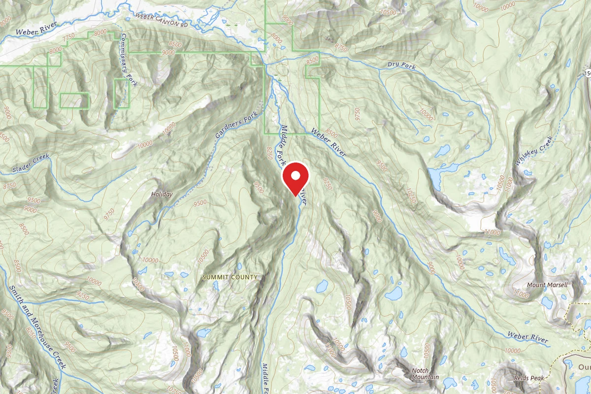 Dispersed Site near 40.7552, -110.9881