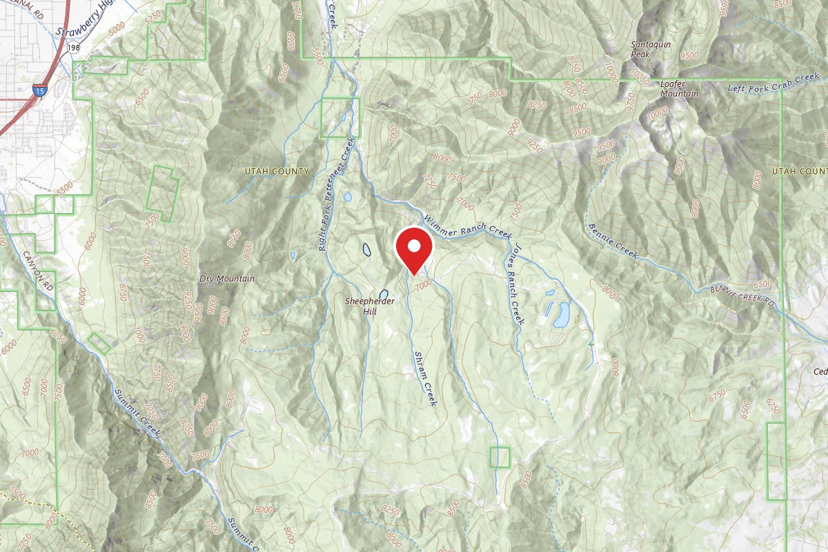 Dispersed Site near 39.9420, -111.6776