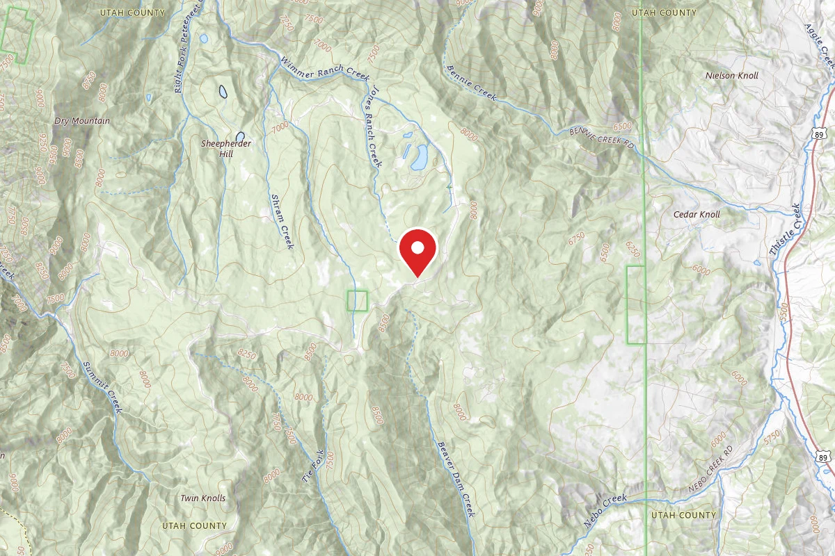 Dispersed Site near 39.9117, -111.6414