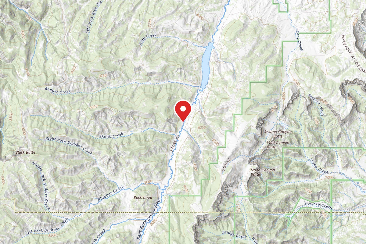 East Fork Dispersed Site 2-3