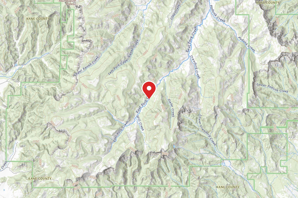 East Fork Dispersed Site 9