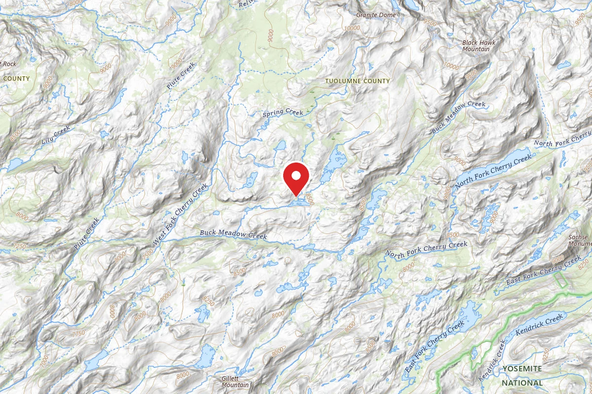 Dispersed Site near 38.1665, -119.7664