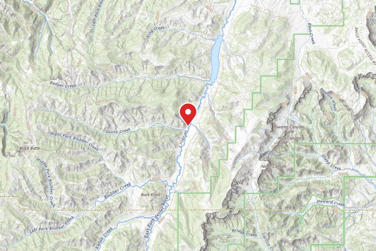 East Fork Dispersed Site 4