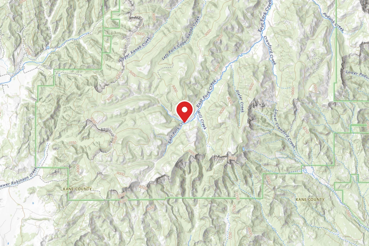 East Fork Dispersed Site 10