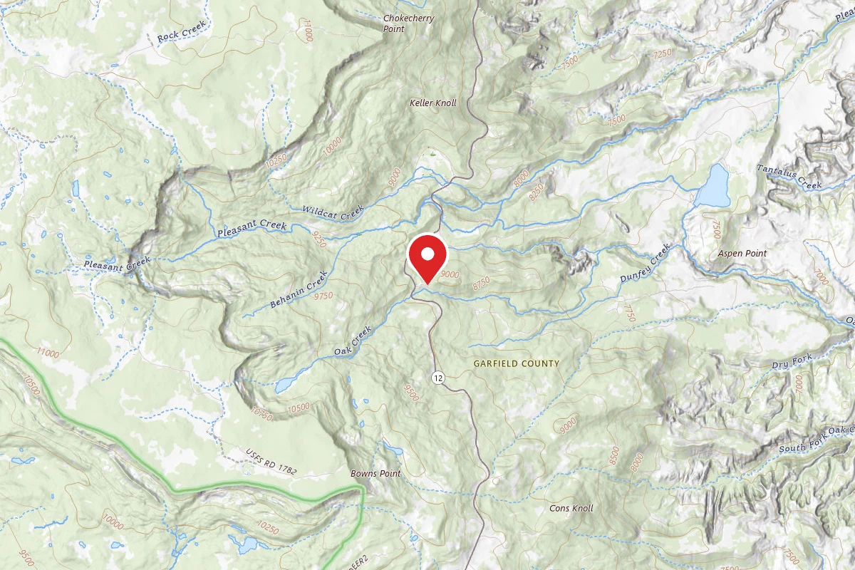 Dispersed Site near 38.0895, -111.3403
