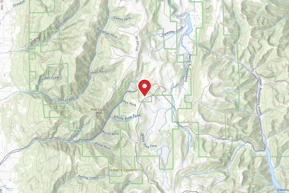 Dispersed Site near 39.6720, -111.3241