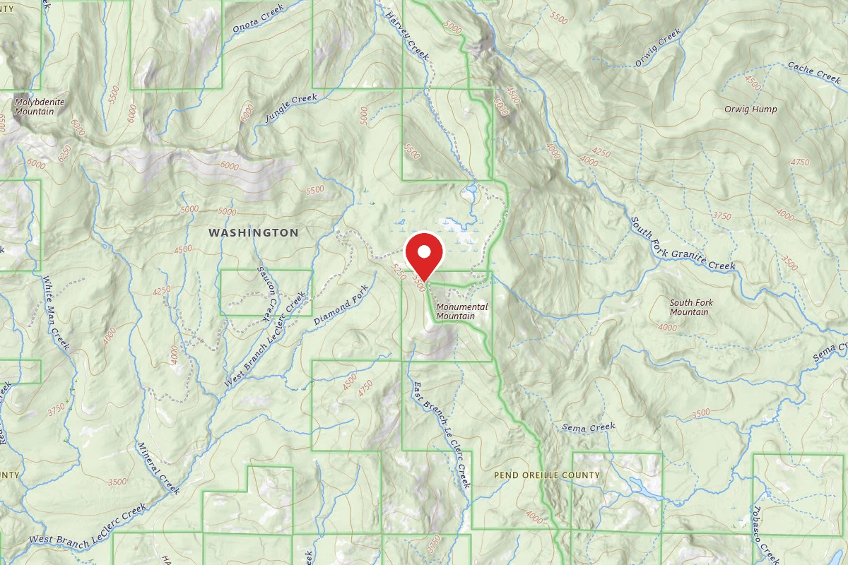 Dispersed Site near 48.6834, -117.1864