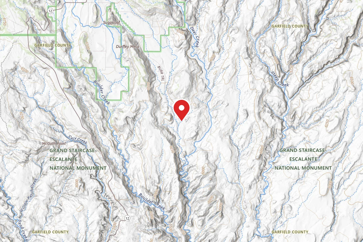 Dispersed Site near 37.8480, -111.3708