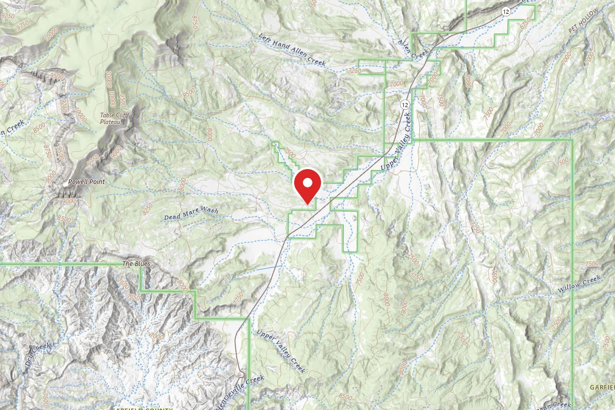 Dispersed Site near 37.6820, -111.8209